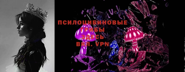 твердый Алексеевка