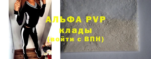 хмурый Абаза