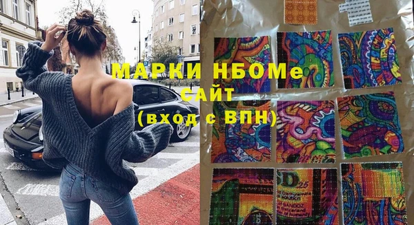 хмурый Абаза