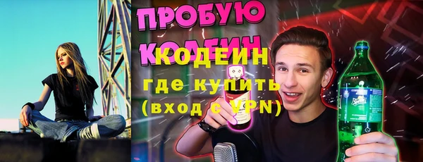 хмурый Абаза