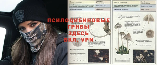 МДПВ Абдулино